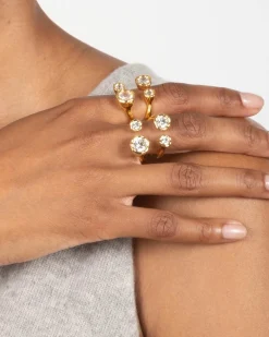 Asterales Gold Open Ring