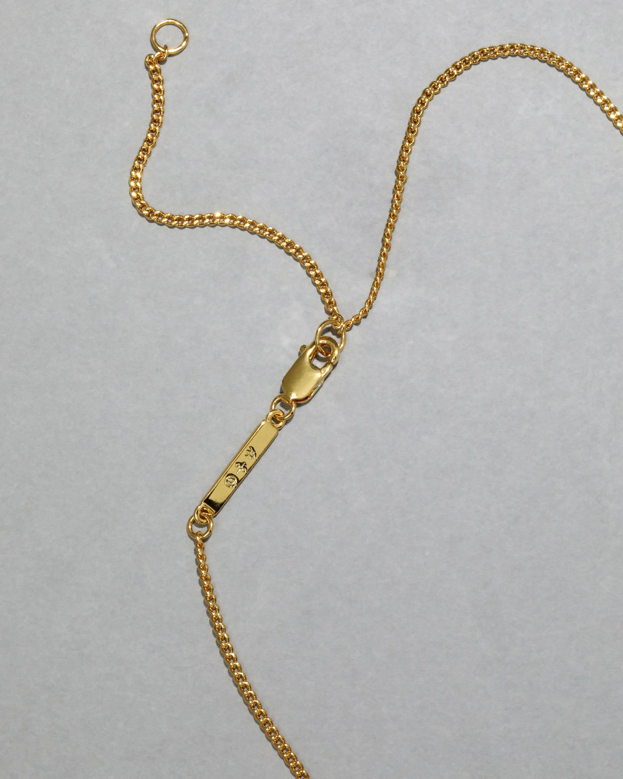 Asterales Gold Solitaire Necklace