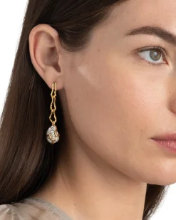 Solanales Crystal Linked Pebble Earring