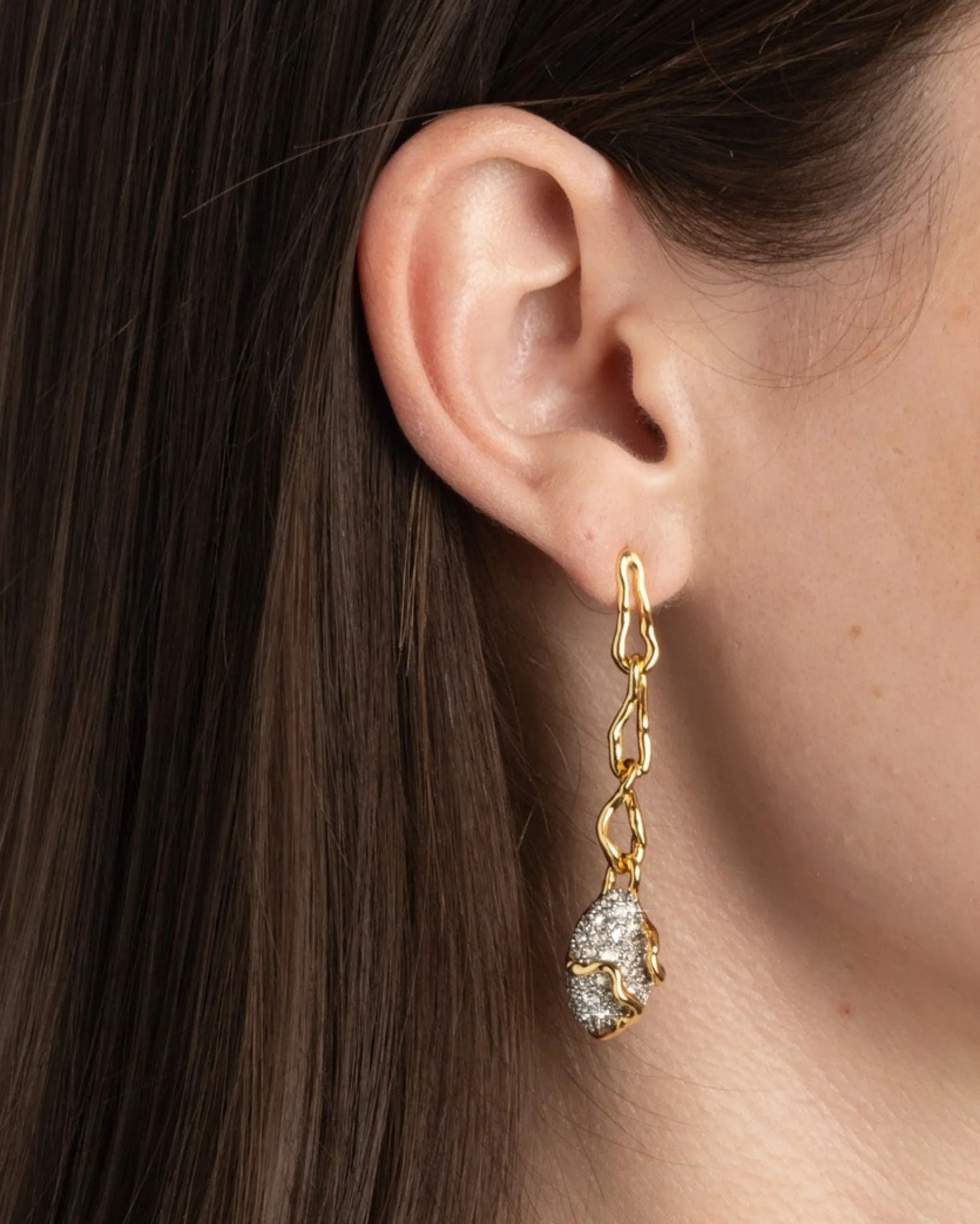 Solanales Crystal Linked Pebble Earring