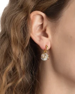 Solanales Crystal Petite Pebble Hoop Earring