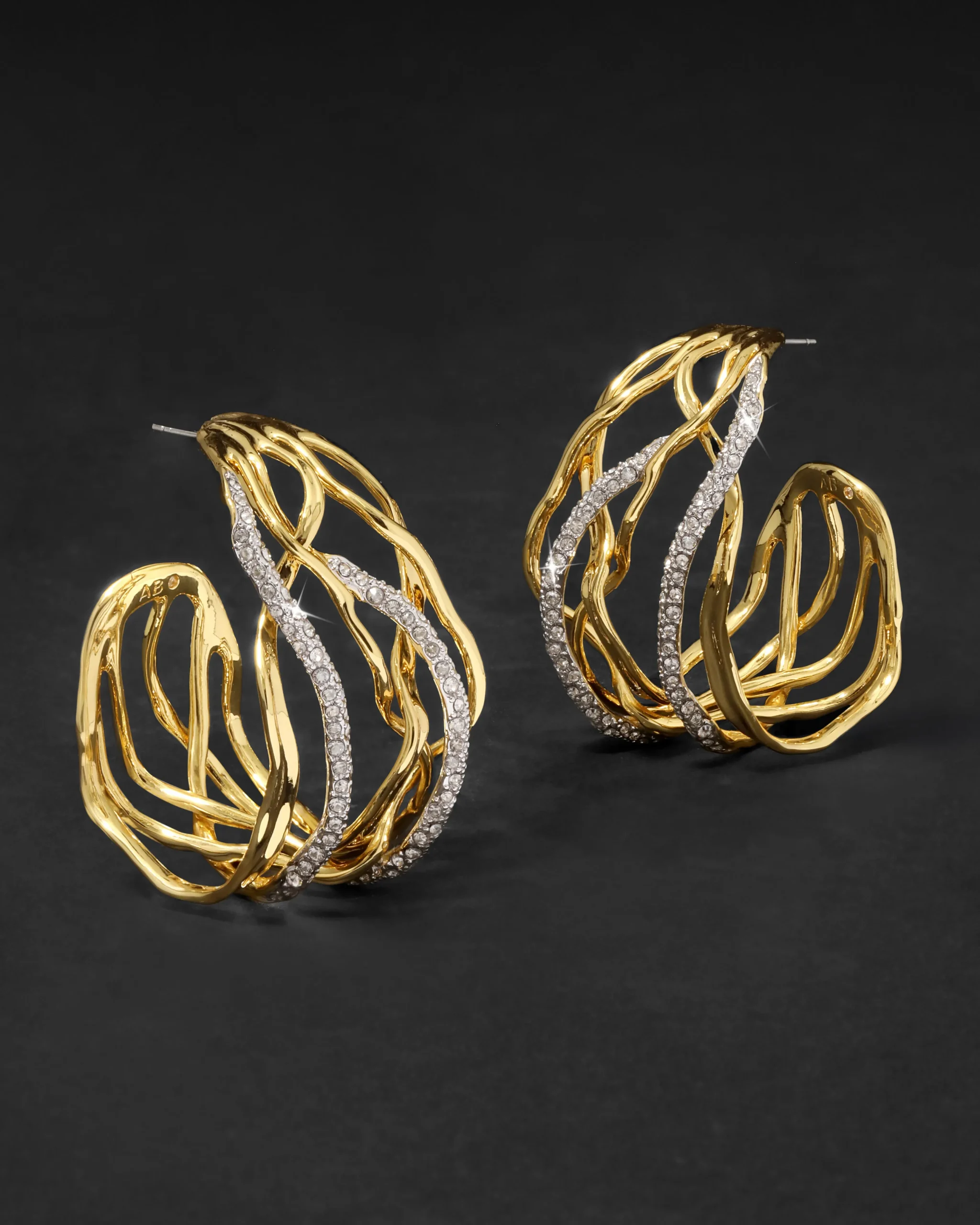 Solanales Crystal Woven Hoop Earring